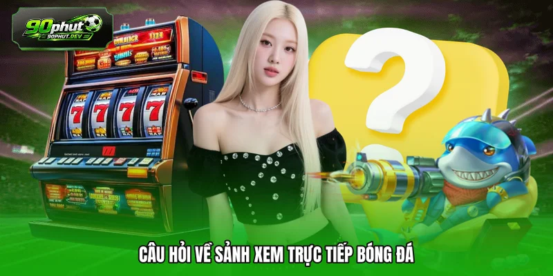 Câu hỏi về sảnh xem trực tiếp bóng đá 