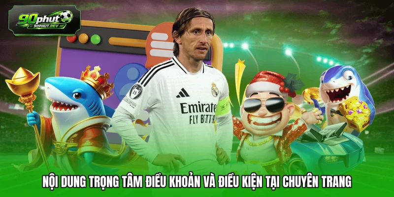 Nội dung trọng tâm điều khoản và điều kiện tại chuyên trang