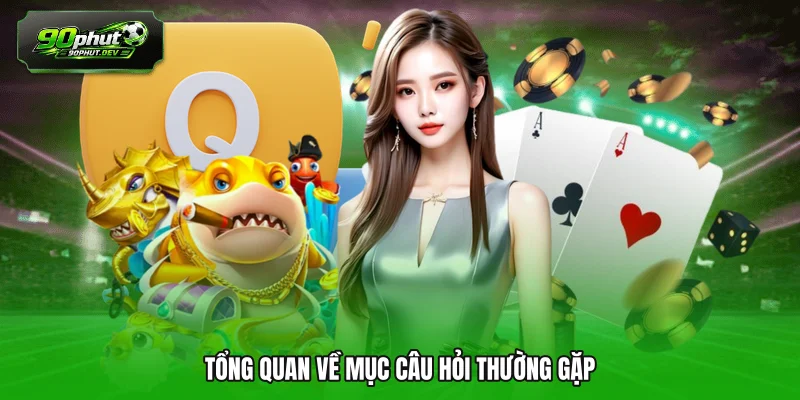Tổng quan về mục câu hỏi thường gặp 